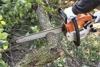 L & D Tree Service image 1